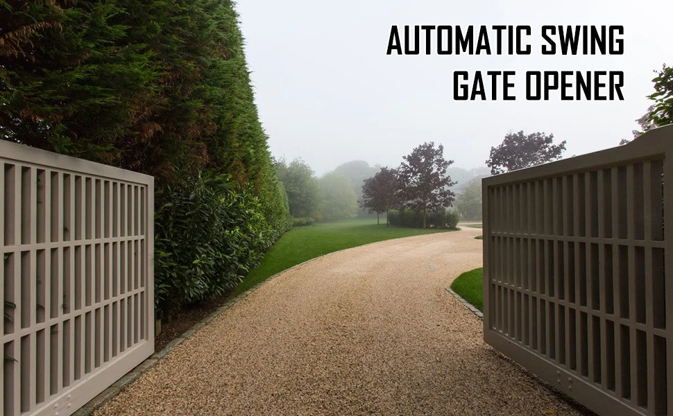 41a1e63f-f9d4-41fc-991c-a7cec0e0847c._CR0,0,970,600_PT0_SX970__