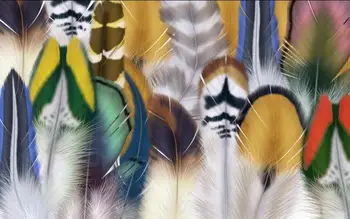 

window mural wallpaper Fashion colorful bird feathers living room TV background wallpaper wallpaper