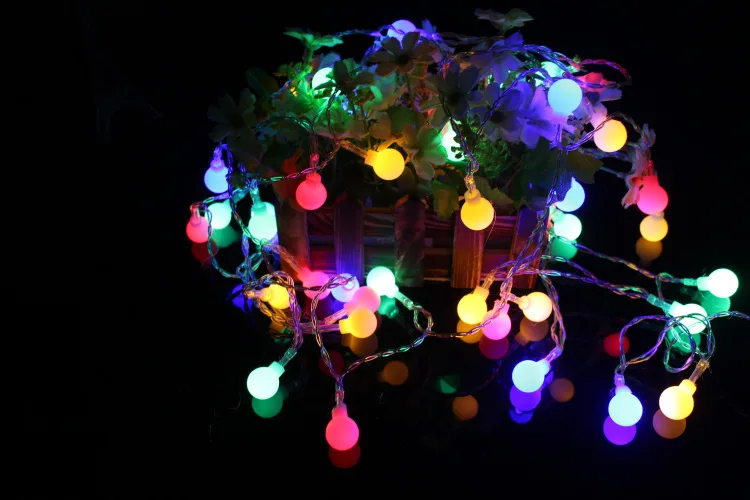 3721646202_1724248132