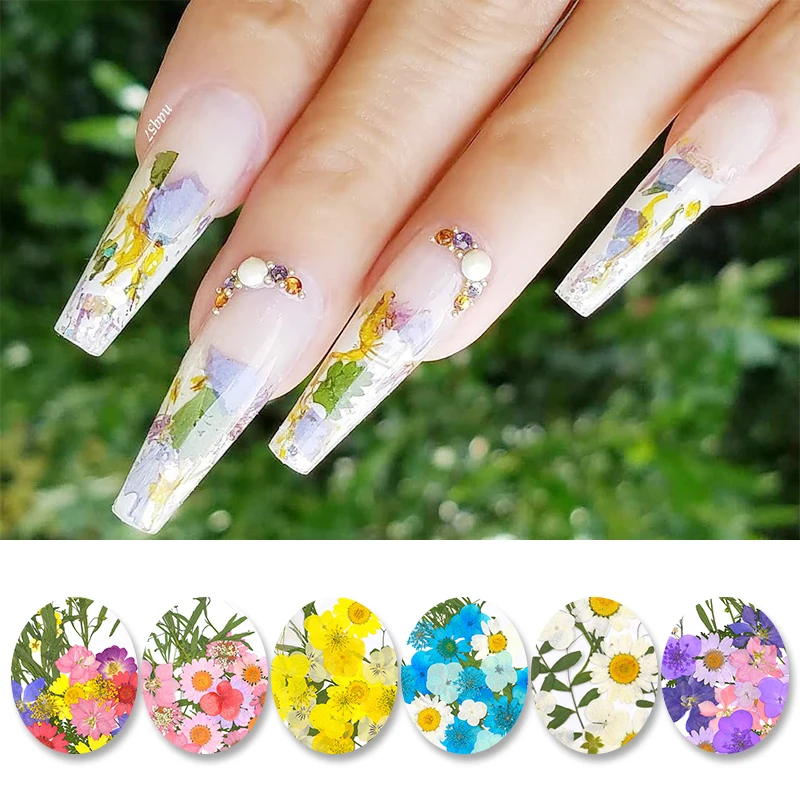 1 Box Dried Flowers Colorful Mixed Preserved Flower With Heart-Shaped Box Glass Bottle 3D Nail Art DIY Design Decorations