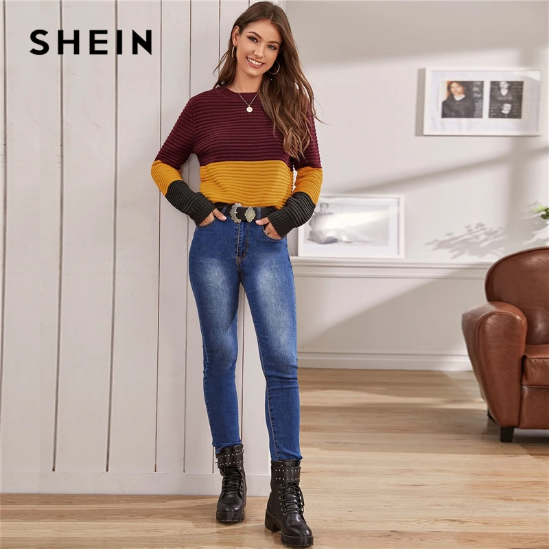 SHEIN мульти Цвет блок ластичного мягкий теплый свитер Осенне-зимняя Дамская обувь в уличном стиле с круглым вырезом и длинными рукавами, Свободные свитеры