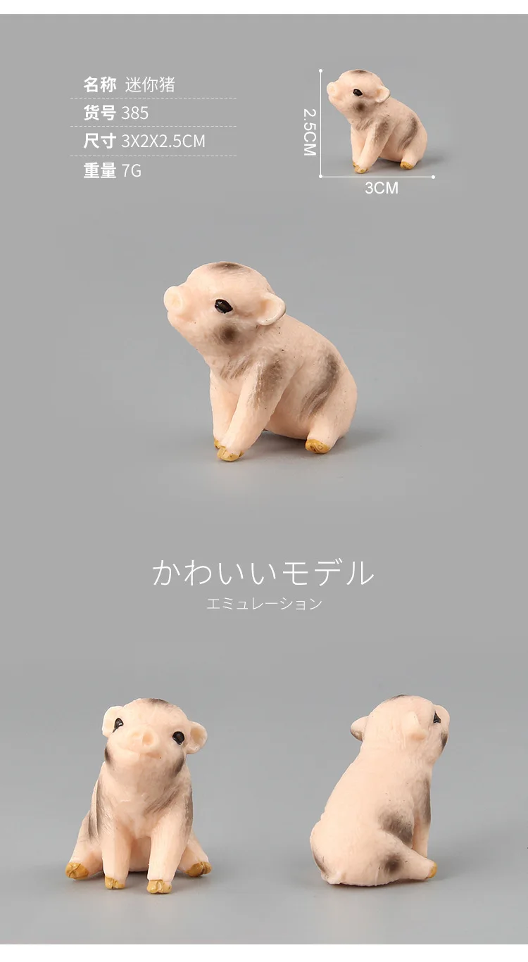 9087635175_1793268619