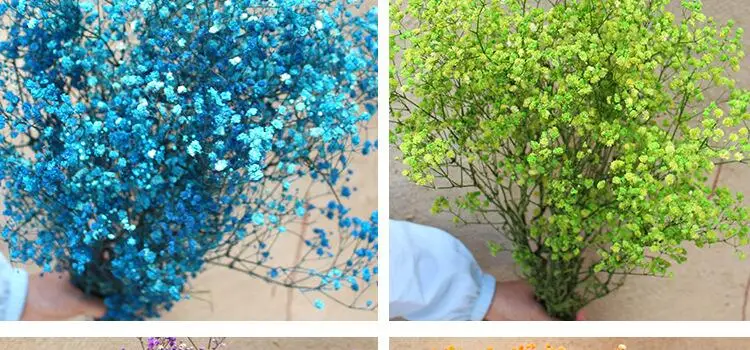 Natural Fresh Dried Preserved Flowers Gypsophila Paniculata,Baby's Breath Flower Bouquets Gift for Wedding Decoration,Valentines Natural Fresh Dried Preserved Flowers Gypsophila Paniculata,Baby's Breath Flower Bouquets Gift for Wedding Decoration,Valentines