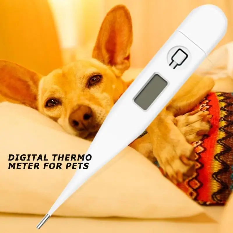 Цифровой термометр для домашних животных, для ротовой подмышки, ануса, кошки, собаки, индикатор температуры