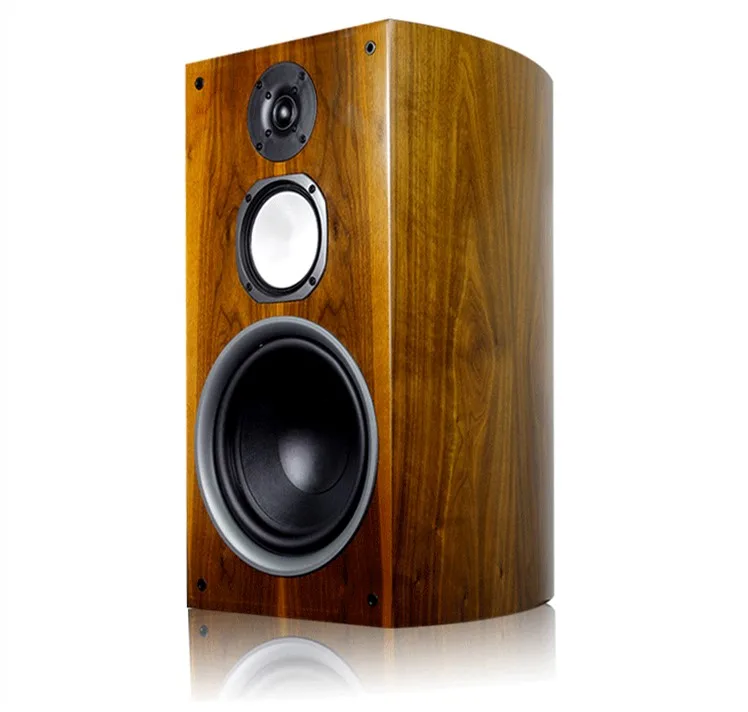 M 009 Hi Fi книжная полка 10 дюймов колонки Пара домашнего пола аудио дюймовый бас
