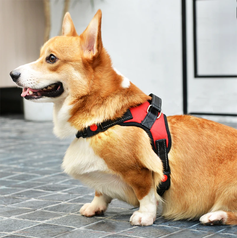 

Dog harness collar large medium small dog leash nylon chest strap dog chain pet supplies explosion-proof rushing rope Reflective