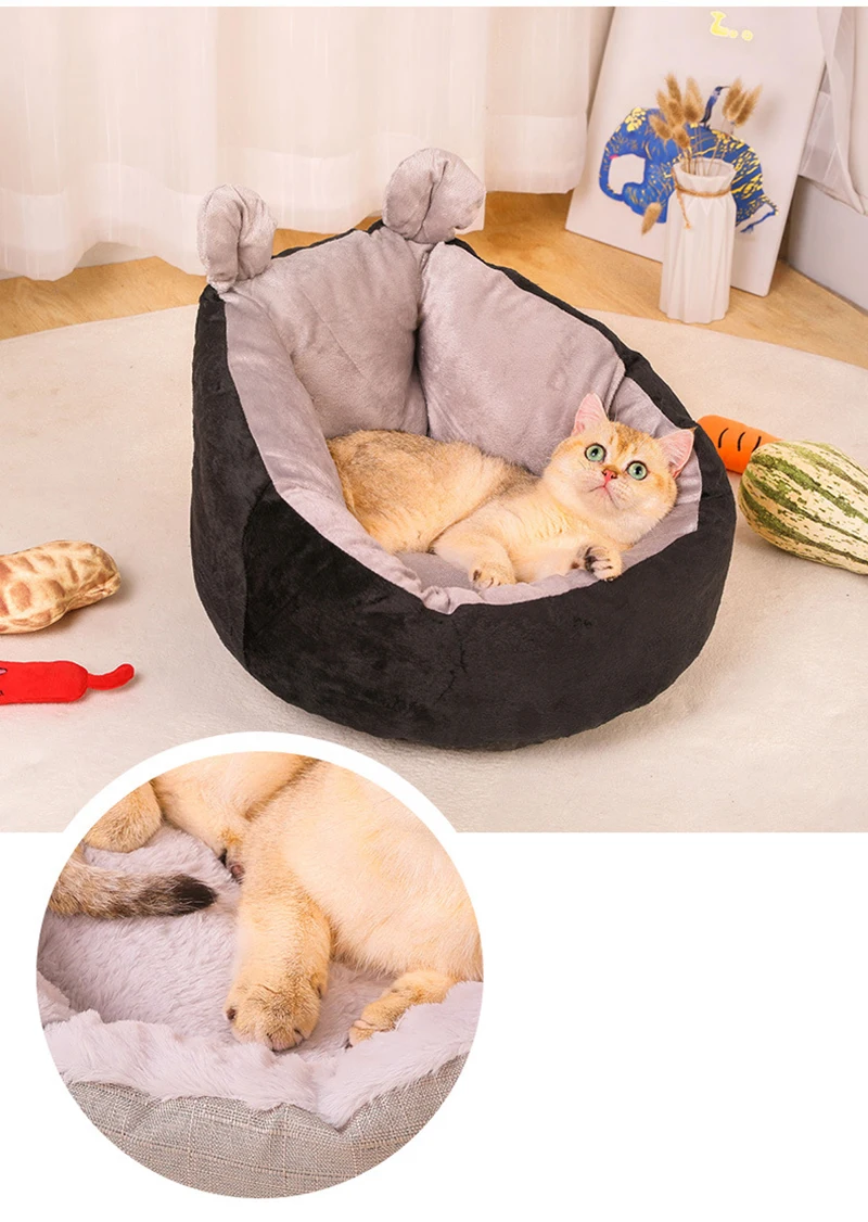 11658252929_459882202