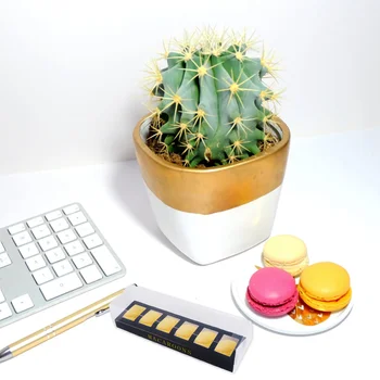 

10pcs Plastic Macaroon Packing Box Durable Package Box Bake Packing Box for Chocolate