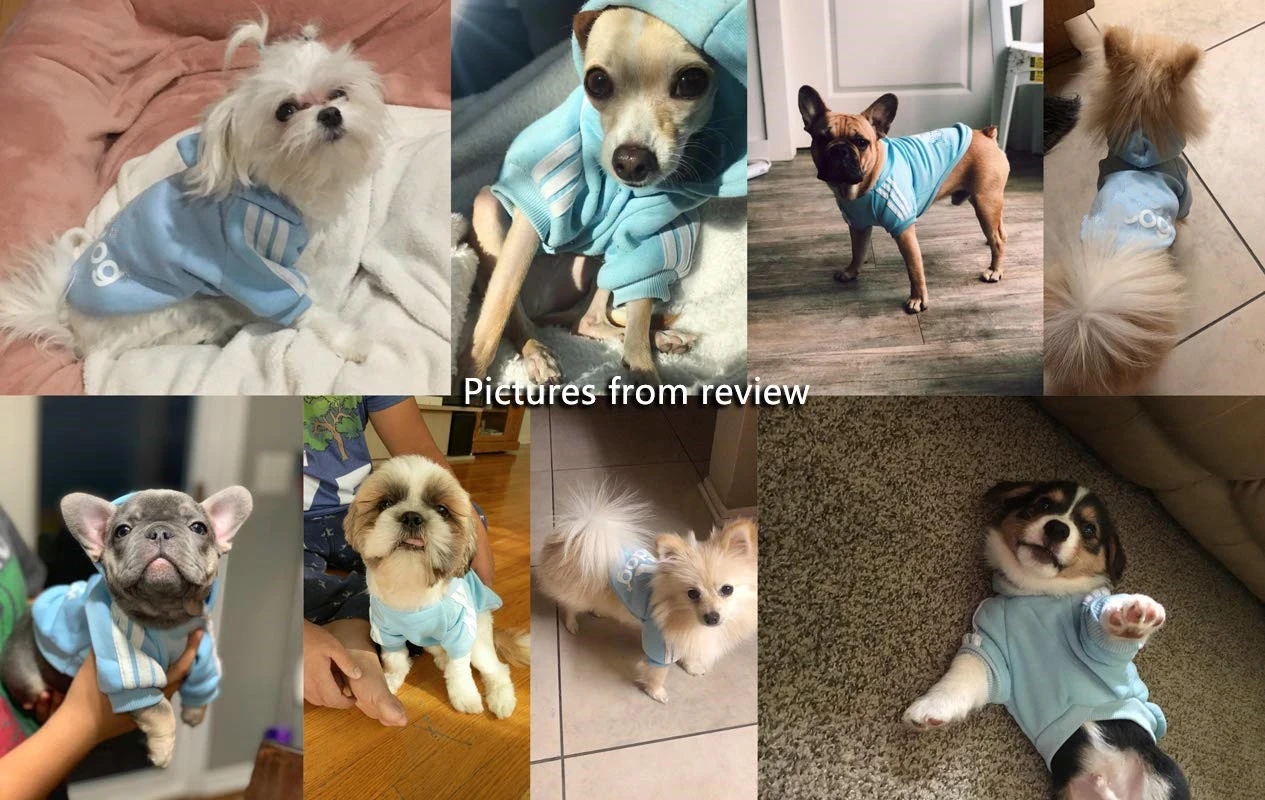 Одежда для питомцев, собак, кошек, зимняя теплая хлопковая толстовка с капюшоном Adidog, пальто для щенка, котенка, свитер для маленьких собак, XS-XXL, спортивная одежда для собак