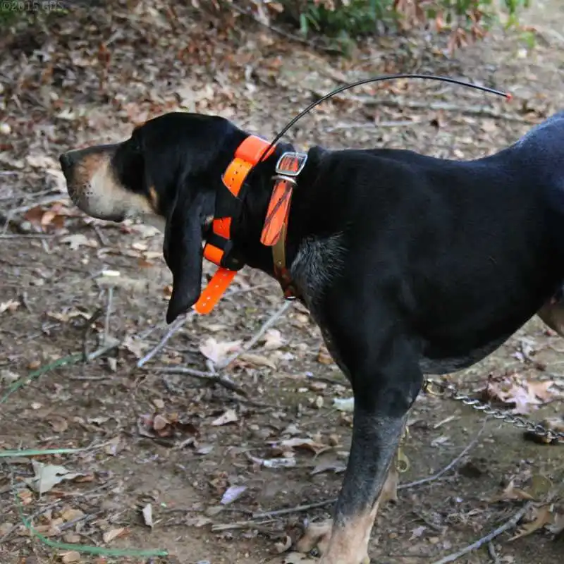 garmin tracking collars for dogs