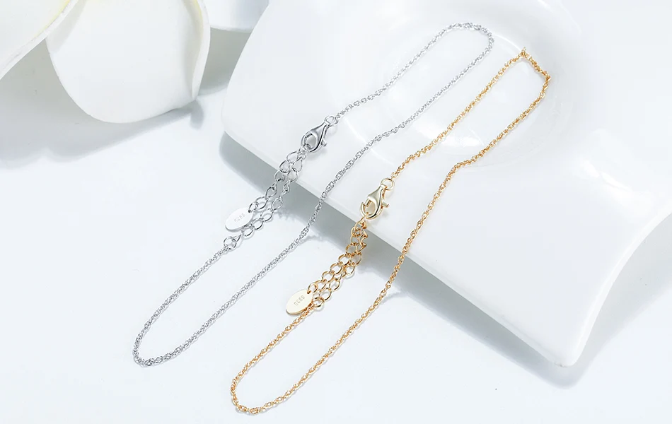 SA06-SCENE-IMG_3531-R