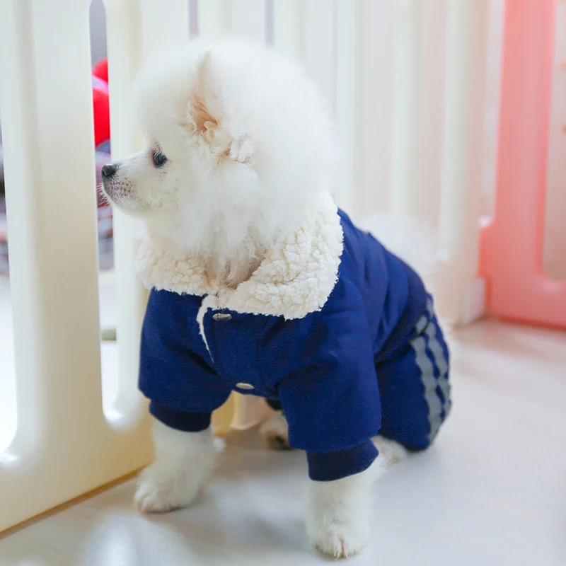 大队长棉衣_9193