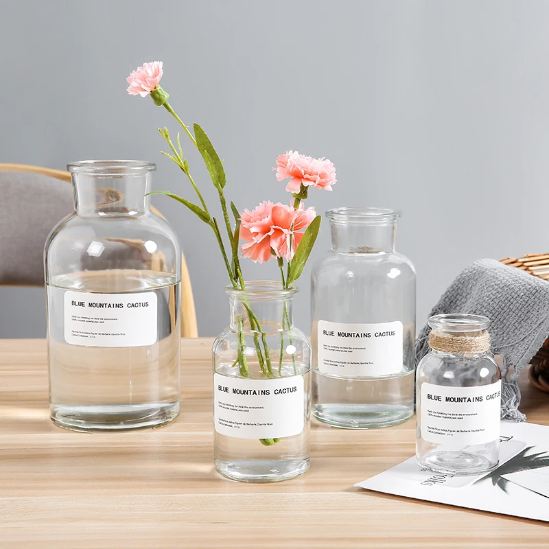 1pc Glass Vase Small Hydroponic Plant Glass Bottle Home Decoration Dried Flower Decoration Transparent Flower Vase 3