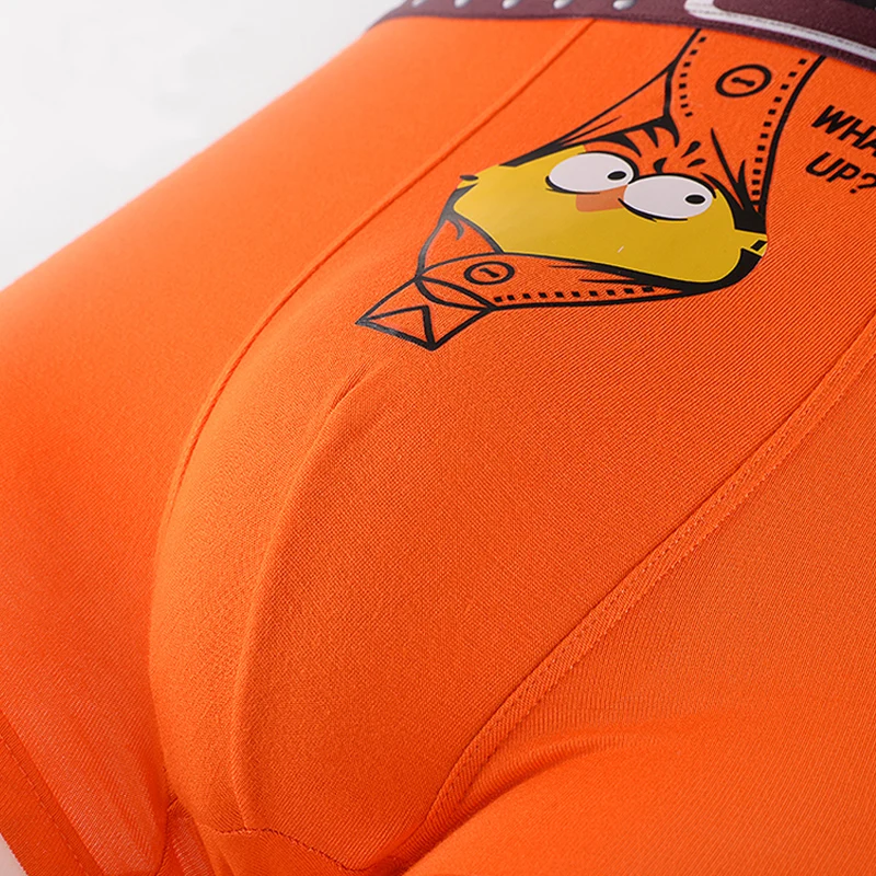 HTB1r_sFf0bJ8KJjy1zjq6yqapXa4