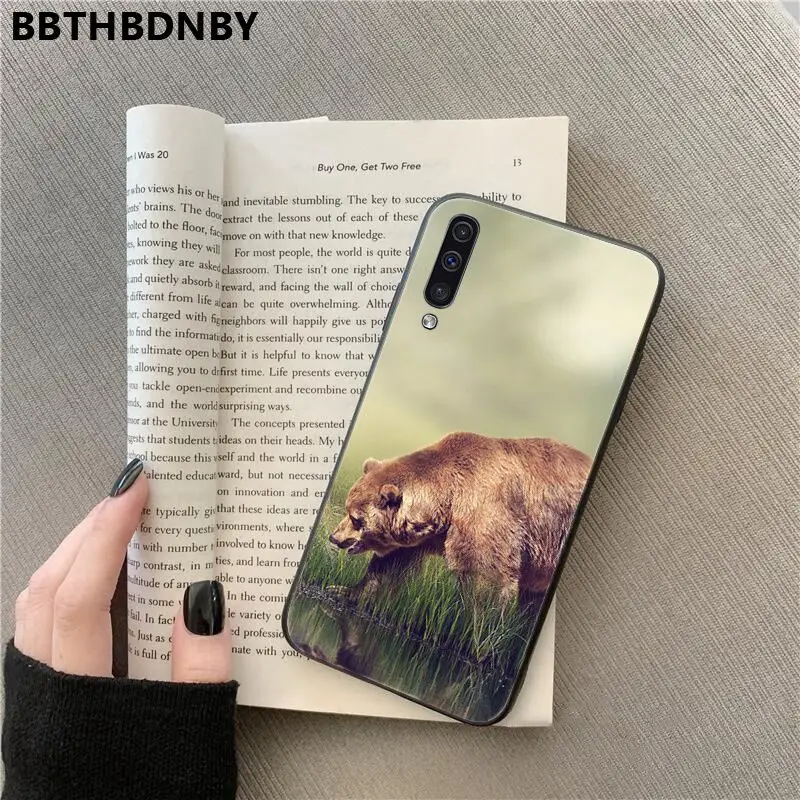 Bear
