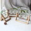 Hydroponic Plant Flower Vases Terrarium Vintage Flower Pot Bulb Transparent Glass Vase Wooden Frame Tabletop Home Bonsai Decor 2