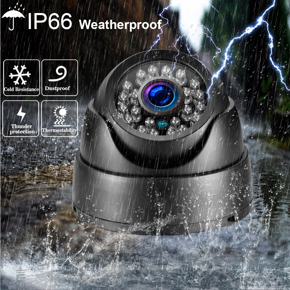 IP66