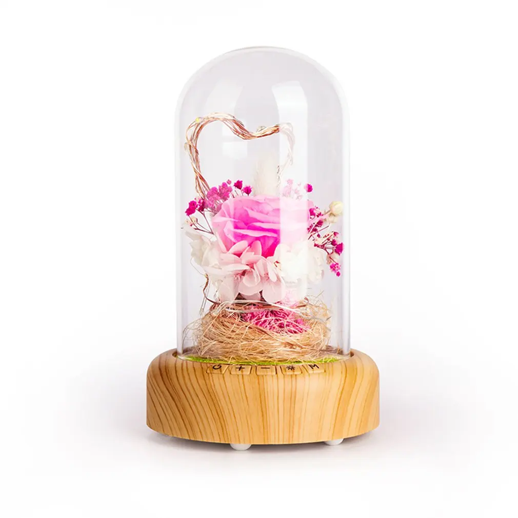 

Streamer Bottle Wireless Bluetooth Speaker Rechargeable LED Night Light With Flower in Glass Home Decoration Table Lamp