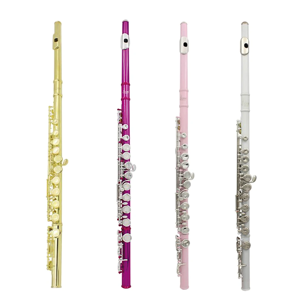 

LADE 16 Closed Hole C Key Flute with Cleaning Cloth Stick Screwdriver Padded Box Woodwind Instruments for Beginner Students Gift