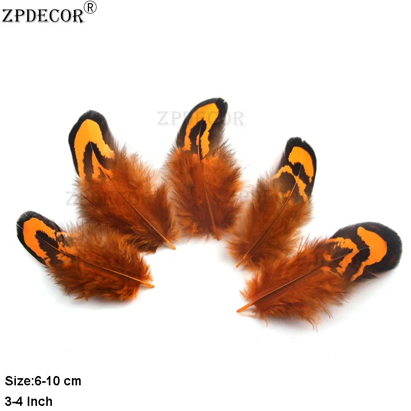 ZPDECOR 2- 4 дюйма/5-10 см Ривз Фазан Перья натуральные плюма | Дом и сад