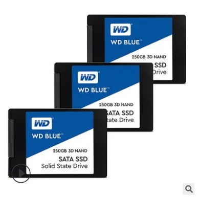 West Data (WD) Blue Series 250GB SSD Solid State Hard Disk