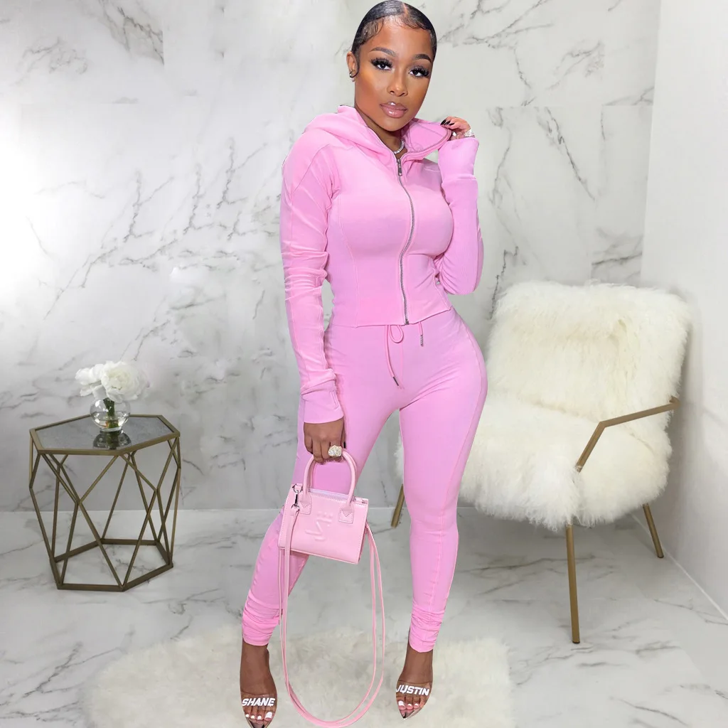 Active Loungewear Two Piece Pant Suits Women Zipper Hooded Long Sleeve