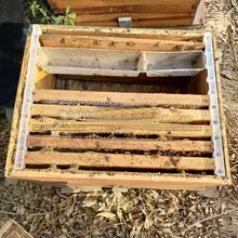 2 шт Пчеловодство бар пчелиный улей рамка Избегайте агитации пластиковый белый интервал 37 см