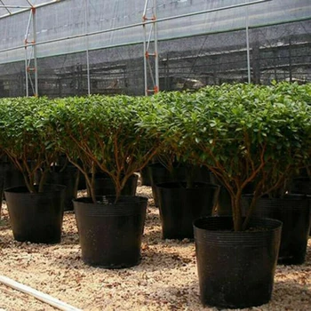 

Holder Seedling Pots Container Garden Plant Raising Flowerpot 100pcs Plastic
