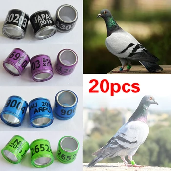 

20Pcs Plastic Personal Racing Bird Pigeon GB Leg Foot Ring Bands Aluminium Homer Ring