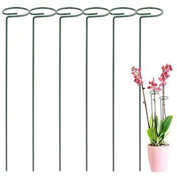 

Plant Support Stakes For Flowers Metal Single Stem Plant Support Garden Plant Stakes For Amaryllis Orchid Lily Rose Tomatoes