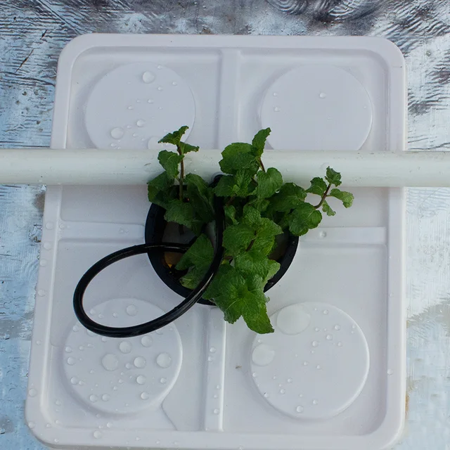 Üvegházhatású, Segítetlen Tenyésztés Holland Hordók Növényi Gyümölcsök Ültetése Műanyag Kerti Hidroponikus Szubsztrát Létesítményekben - Image 5