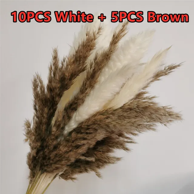 15Pcs Dried Reed Flower Arrangement Natural Pampas Grass For  Modern Home Decoration Party Backdrops Wedding Supplies 2 colors