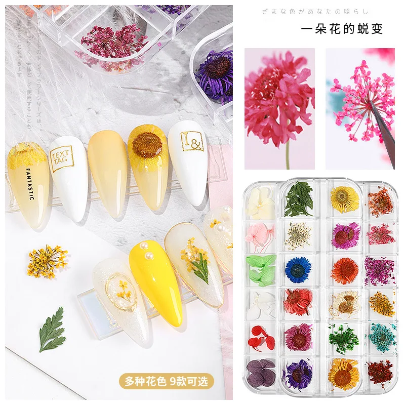 

Nail Art Immortal Dried Flowers 3D Stereo Daffodil Dried Mixed Flower Season Theme Design Nail art Decoration Accessories F730