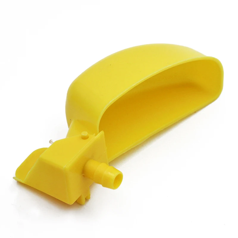 ޹ ߶  ô ׸  ô ,  ߶ ѱ   ļ 50 
