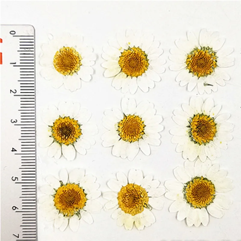 1.5-2CM