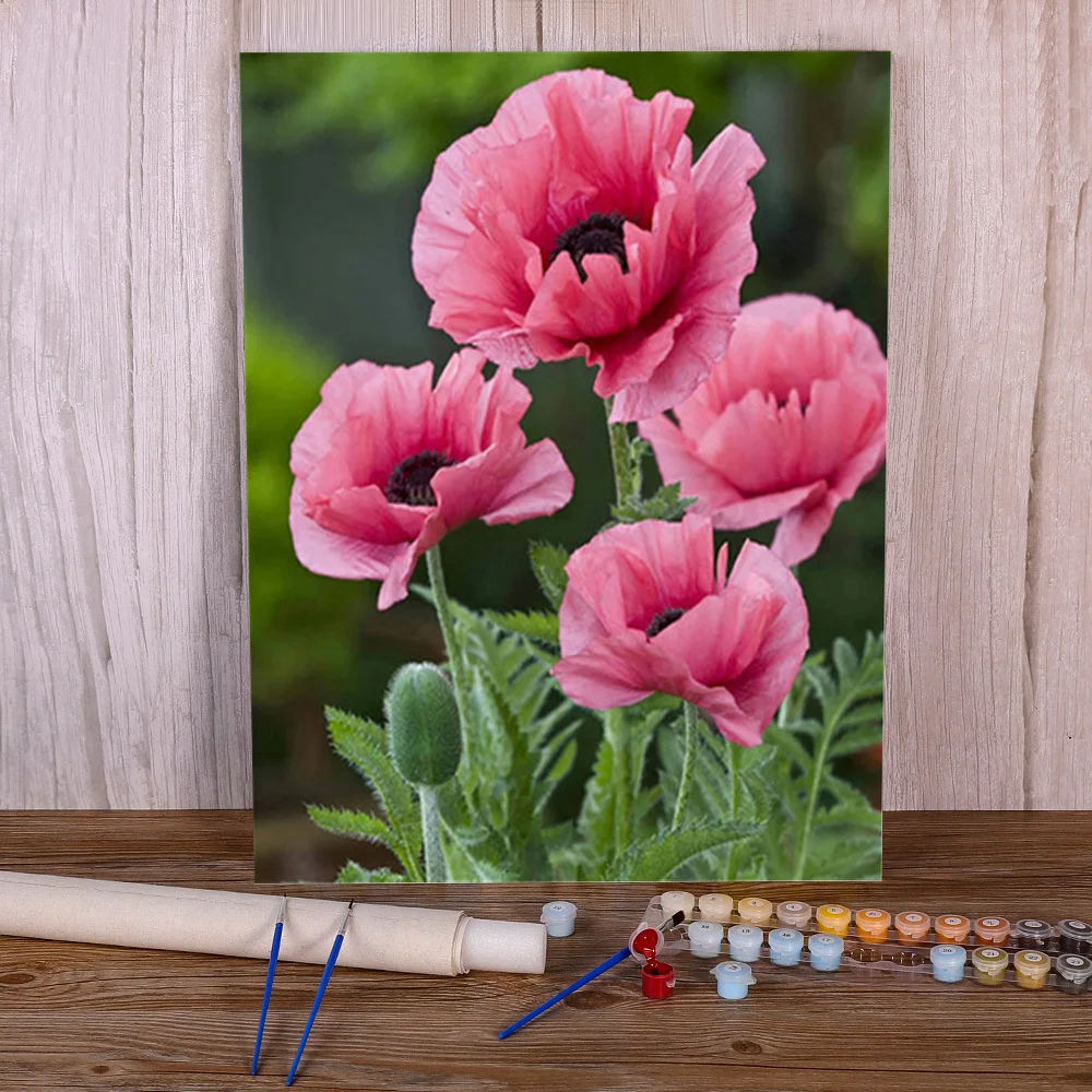 Poppy Flowers Coloring By Numbers Painting Package Acrylic Paints 40*50