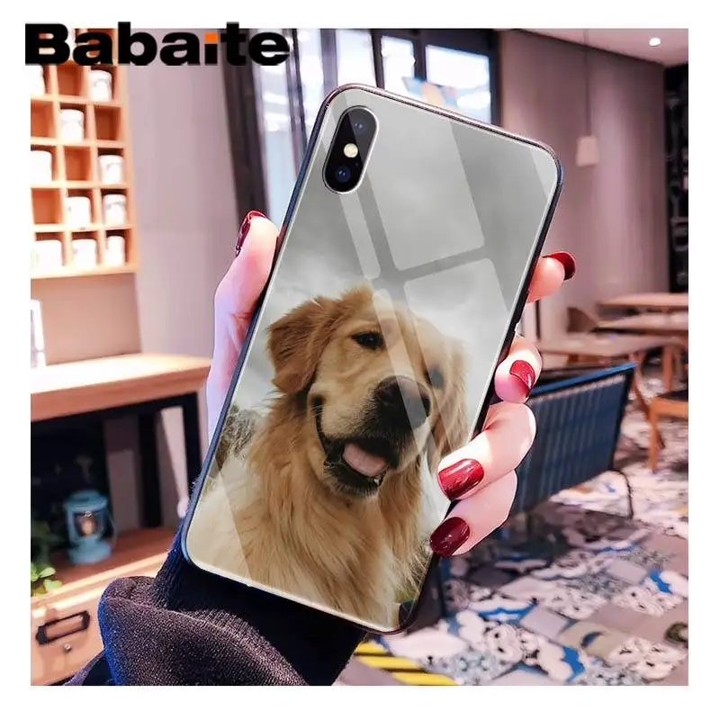 Babaite улыбающийся Ангел животное милая собака клиент высокое стекло чехол для телефона для iPhone XR XS MAX X 7 8 6S Plus 11 11Pro 11Pro max - Цвет: A11