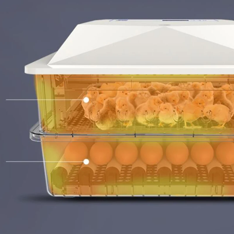 WSFS Горячая штепсельная вилка ЕС, 56 яиц автоматический инкубатор для яиц с ЖК-дисплеем Цифровой сельскохозяйственный инкубатор для фермерских куриных расплывчатых яиц инкубатор для яиц