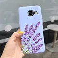 Purple 1626