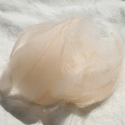 Flesh Pink 100pcs