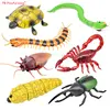 RC Insect Electric Simulated Snake toys Remote Control Animal Model Adult Tricky toys Cockroach Pillbug Children gifts AC38 3