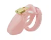 Sex Toys Small/Standard Male Chastity Device Cock Cage with 5 Size Rings Brass Lock Locking Number Tags Chastity Cage Male ► Photo 1/6