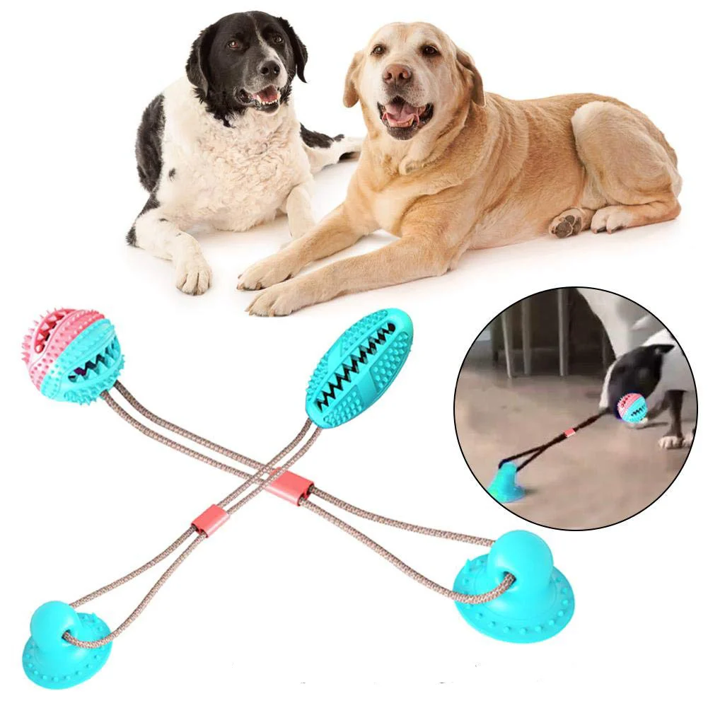 pet molar bite toy
