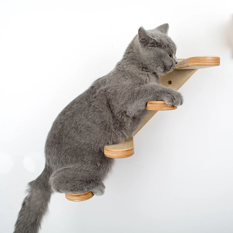 Кошка деревянная стена Водонепроницаемая Березовая игрушечная лестница длиной 40 см