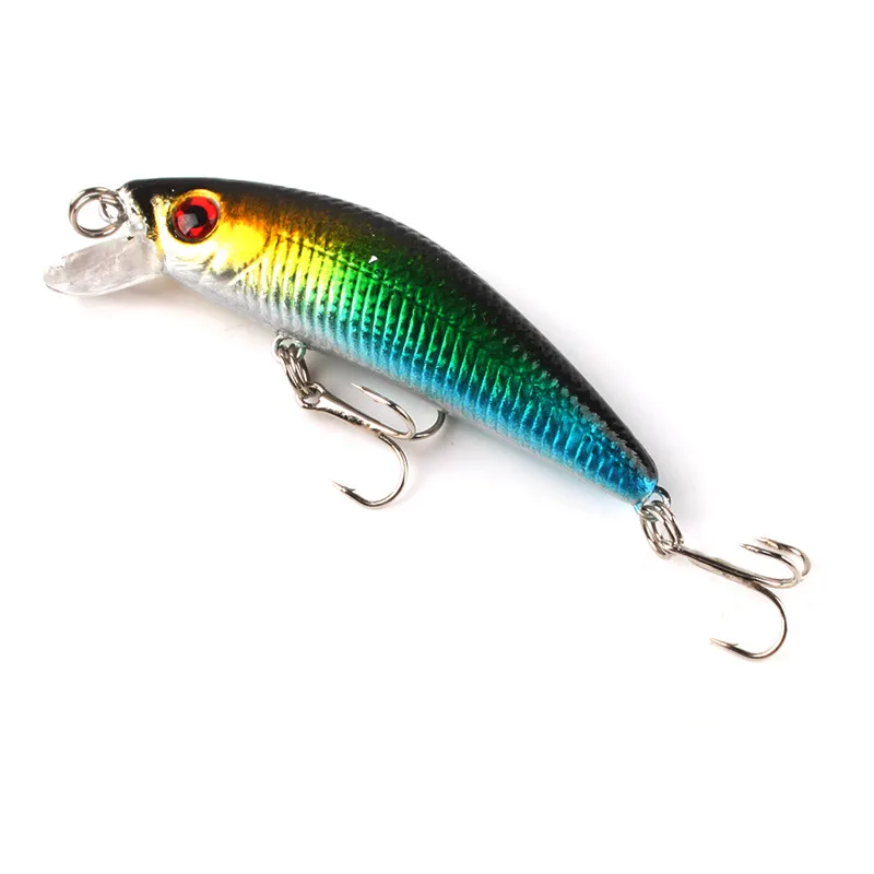 242039_no-logo_IMG_5602