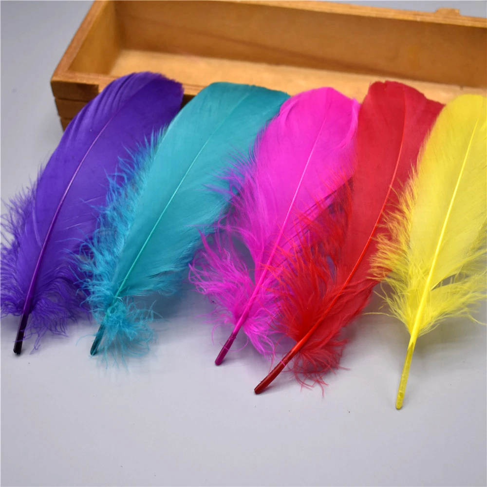  Plumas de ganso para costura de 15 a 7.9 in, decoración de  plumas coloridas, manualidades, material de manualidades, accesorios de  boda, decoración de pluma, color rojo vino, 100 unidades : Arte y  Manualidades