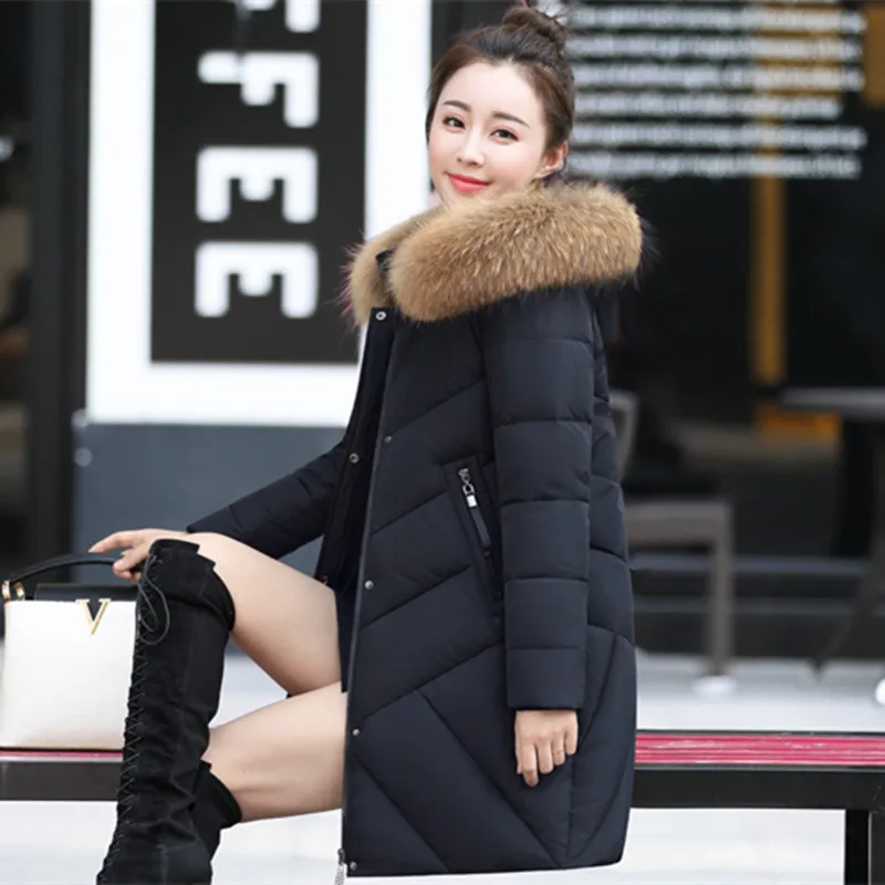 

19 China Gedi qing nv zhuang Large Fur Collar Warm down Jacket Cotton-padded Clothes Women's Mid-length Winter Large Size Loose-