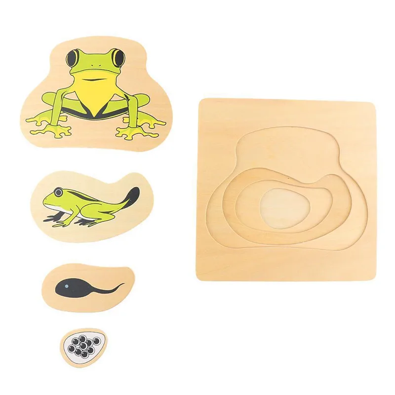 4 Layer Puzzle Frog Kindergarten Toddlers Toy Kids Learn Game 