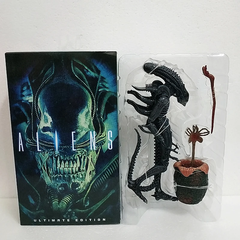 WuTa_2019-12-01_15-51-51