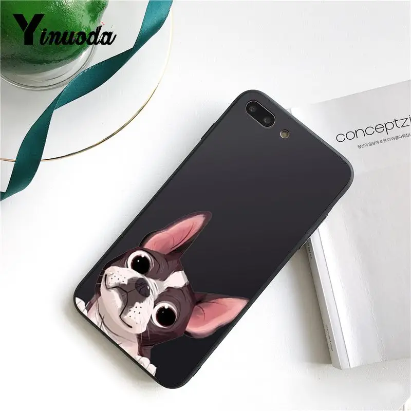 Cute  French Bulldog cartoon dog and cat